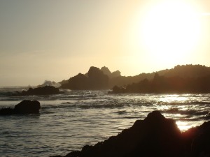 DSC00611