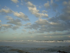 DSC03429