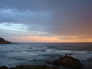 DSC06242
