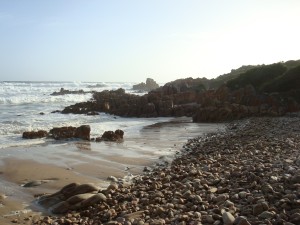 DSC06411