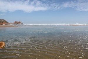 IMG_5404